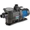 Clarke SPP07A 0.75HP Swimming Pool Pump