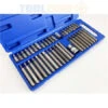 Toolzone 40Pc Hex/ Torx/ Spline Bits In Case - 4, 5, 6, 7, 8, 10 And 12mm - T20, T25, T30, T40, T45, T50, T55